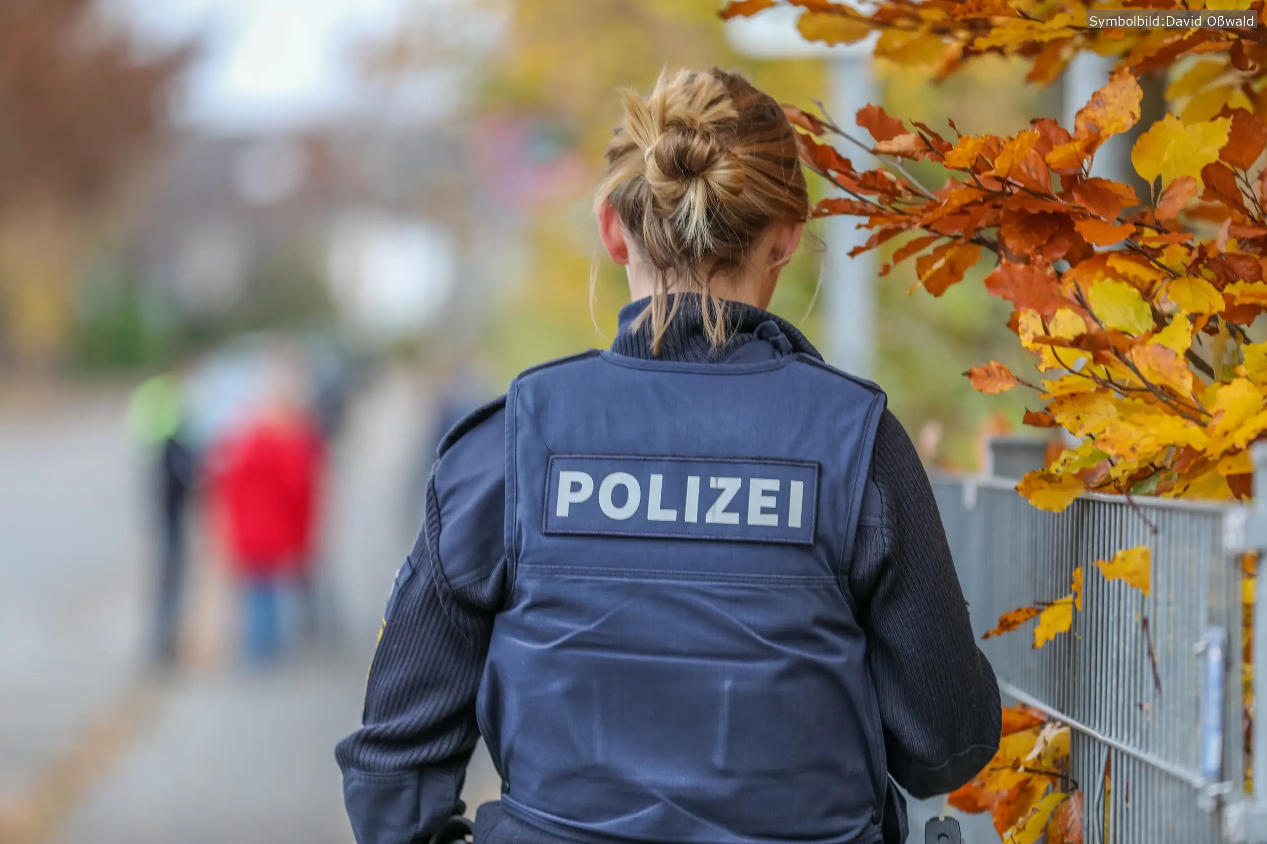 Zwei Polizeibeamte wurden bei einer Kontrolle in Ammerndorf verletzt. Der Tatverdächtige konnte festgenommen werden.