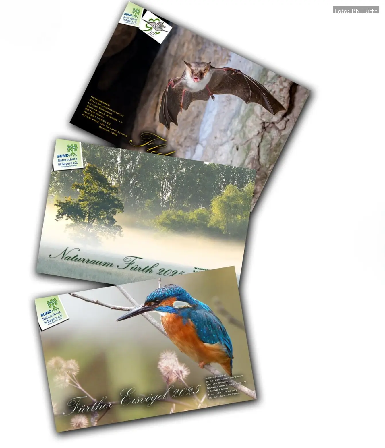 Der Jahreskalender des Bund Naturschutz Fürth zeigt beeindruckende Naturaufnahmen wie Eisvögel und Fledermäuse und unterstützt mit dem Verkaufserlös den lokalen Naturschutz.