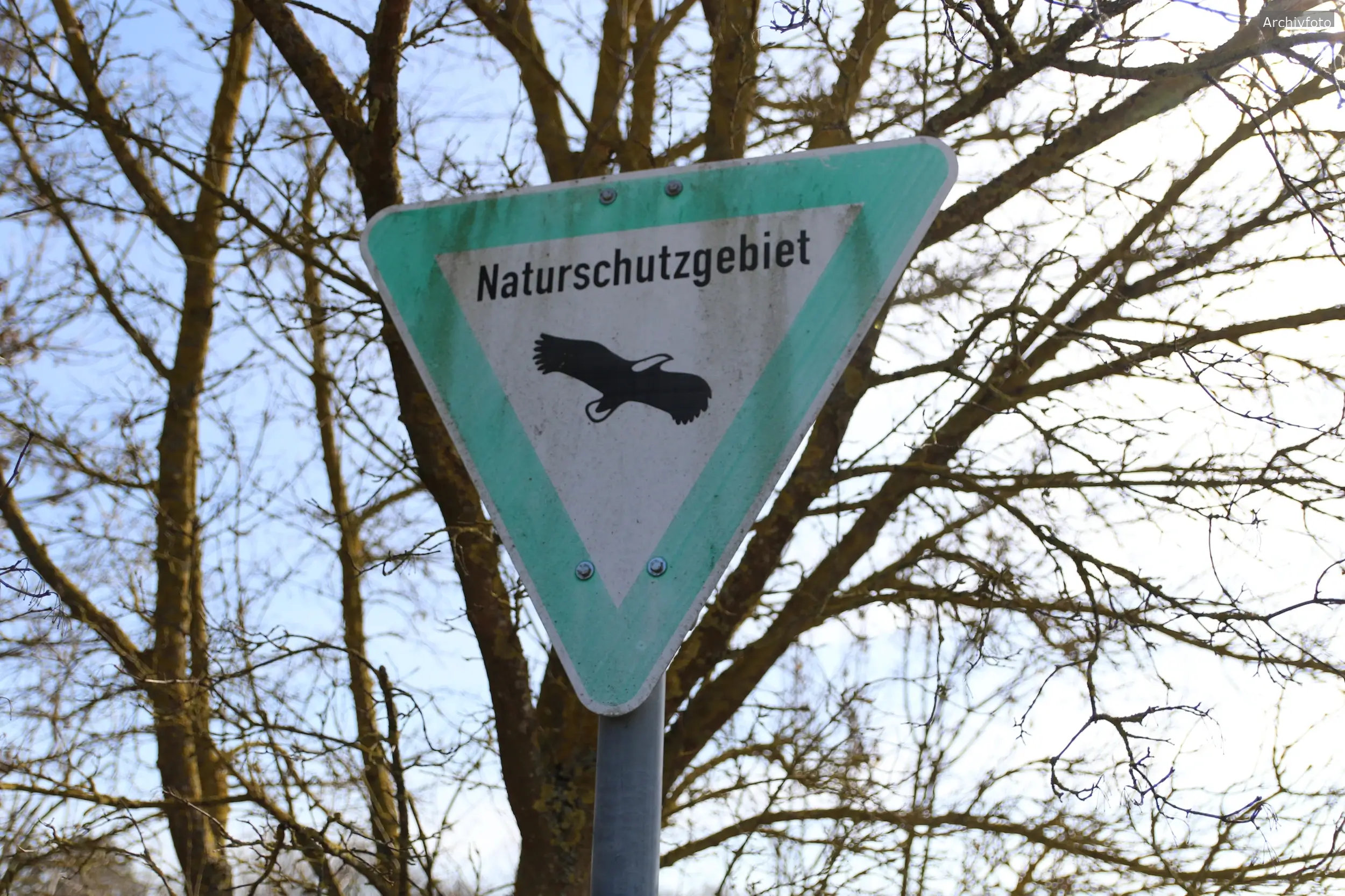 Freiwillige des Bergwaldprojekts bei Pflegearbeiten am Hainberg: Ein Einsatz für seltene Arten wie Heidelerche und Sandgrasnelke.