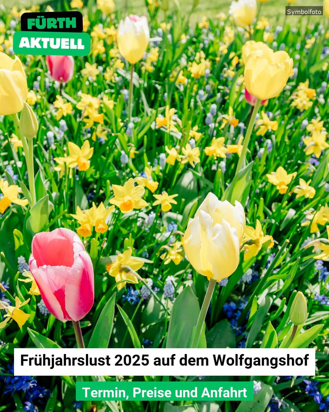 Die Frühjahrslust bietet eine breite Palette an Attraktionen: Regionale Gärtnereien präsentieren eine vielfältige Auswahl an Kräutern, Pflanzen und Saatgut, ideal für Garten und Balkon.
