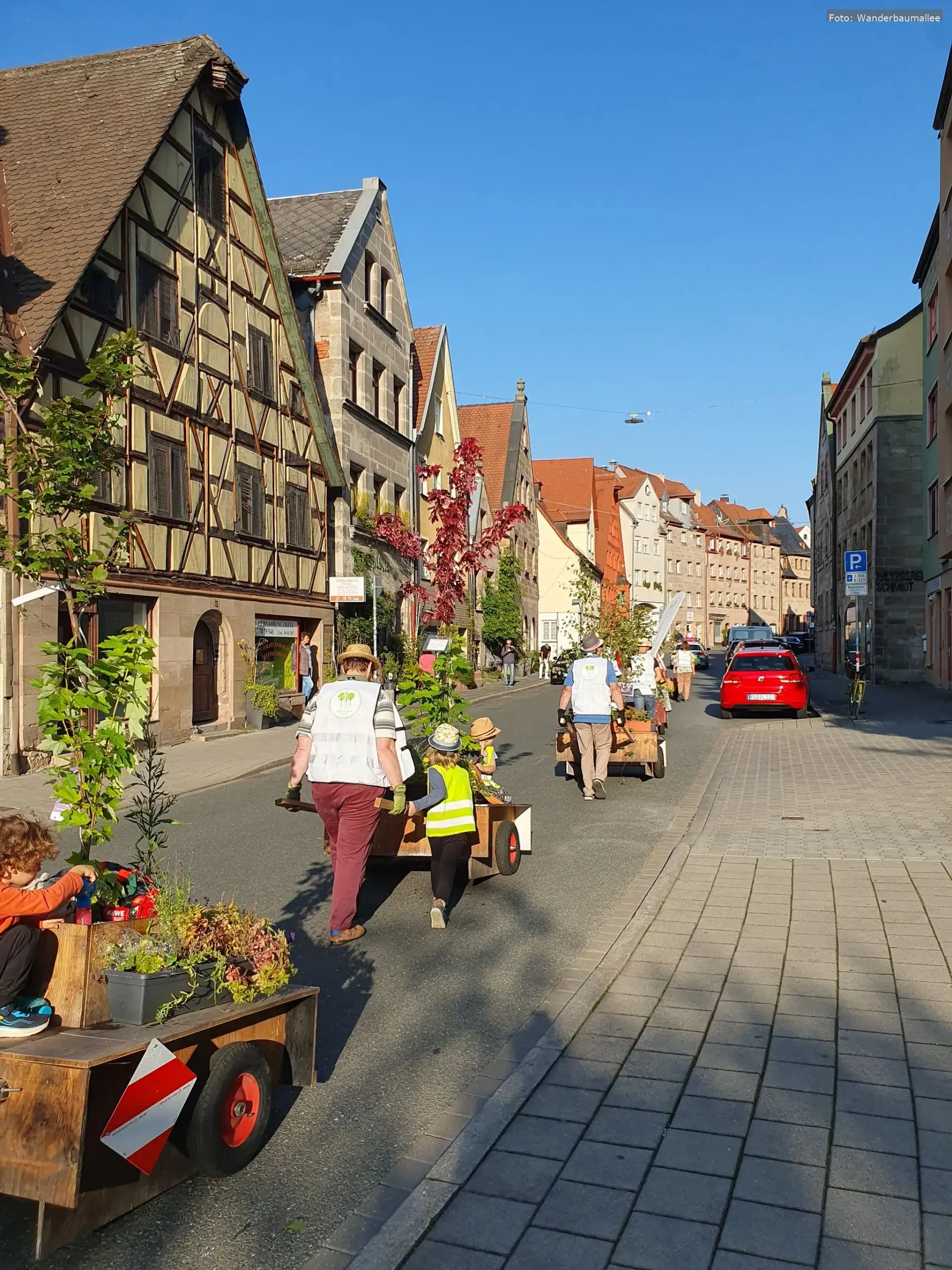 Wanderbaumallee Fürth startet neue Saison – Auftakt am 10. April