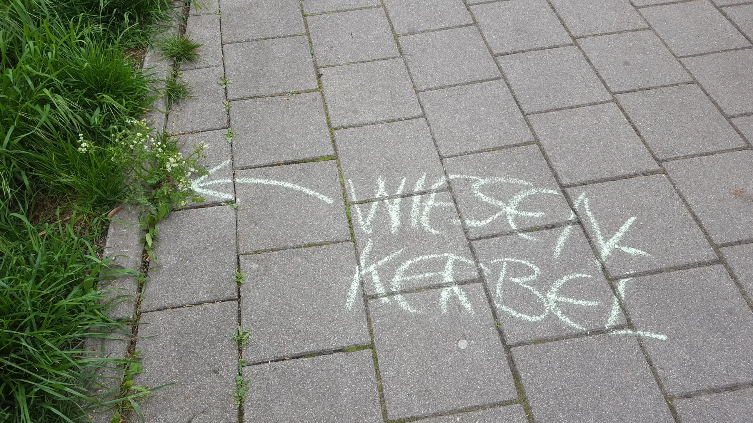 Teilnehmer der #Krautschau in Fürth beschriften Gehwege mit Kreide, um auf Wildpflanzen aufmerksam zu machen.