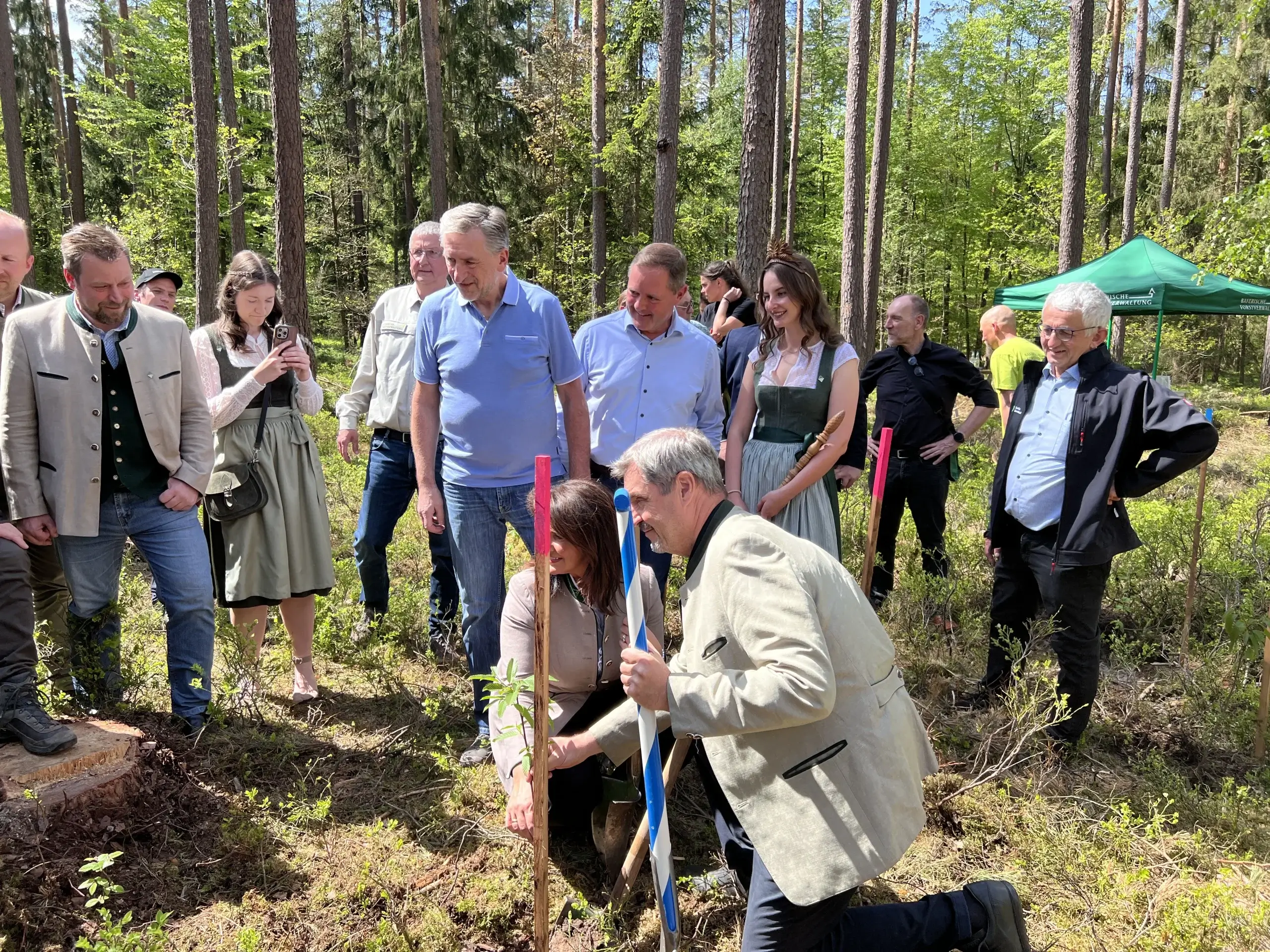 Ministerpräsident Markus Söder und Staatsministerin Michaela Kaniber pflanzen den 90-millionsten Zukunftsbaum im Kirchenwald „Heiligenholz“ bei Roßtal.