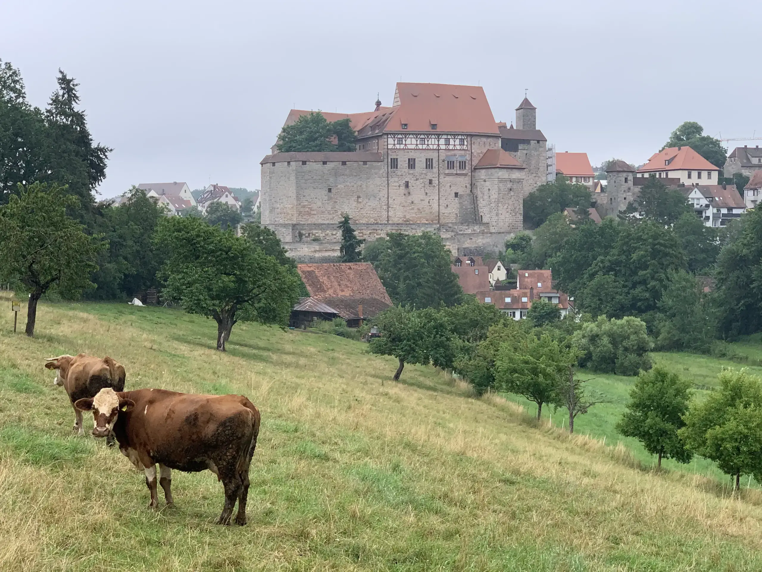 Politische Kontroversen beim Deutsch-Französischen Freundschaftsfest in Cadolzburg.