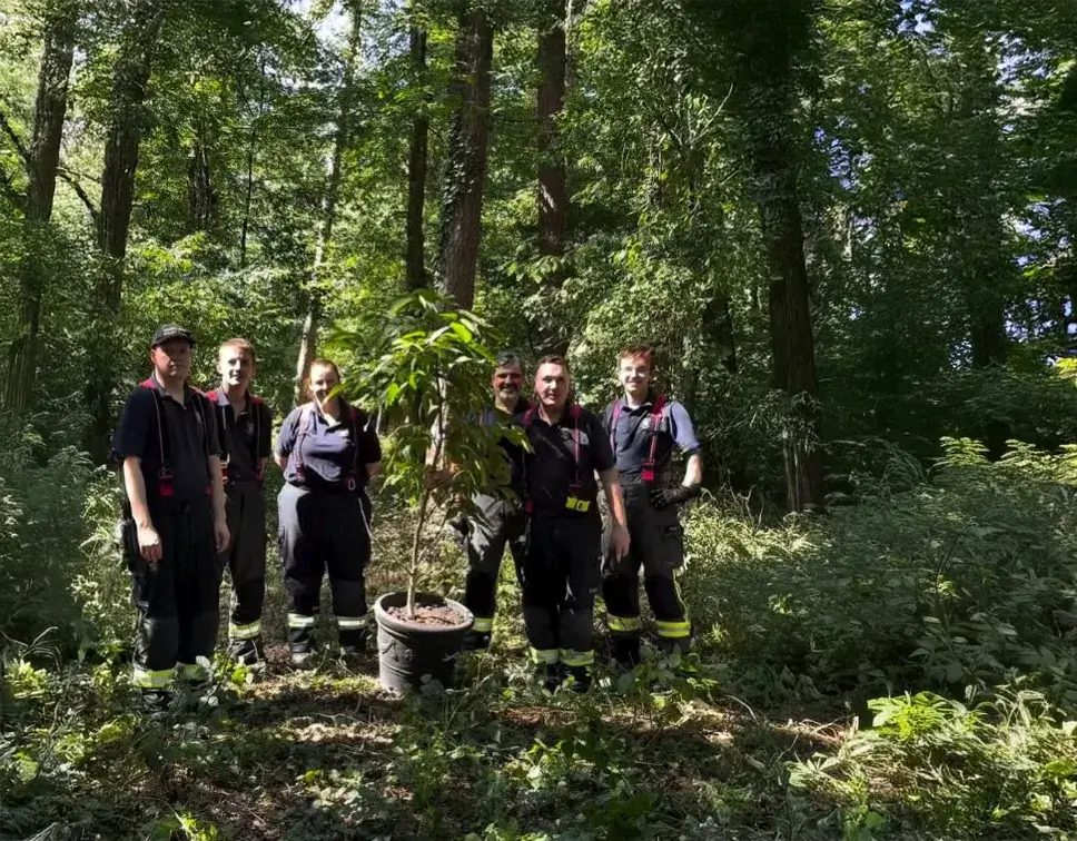 Feuerwehrleute aus Stein im Einsatz für den Umweltschutz: Die Baumpflanz-Challenge erobert Deutschland. Foto: FFW Stein/Instagram
